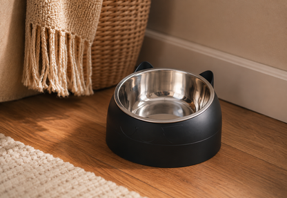 Elevated Cat & Small Dog Bowl – 15° Tilted Stainless Steel Pet Food & Water Bowl