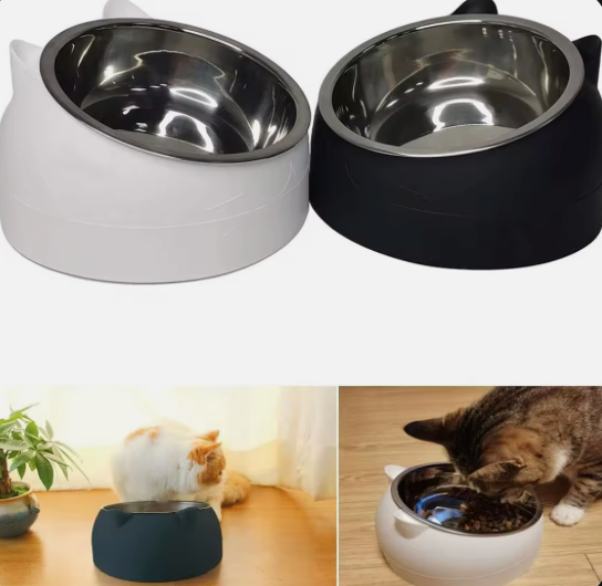 Elevated Cat & Small Dog Bowl – 15° Tilted Stainless Steel Pet Food & Water Bowl