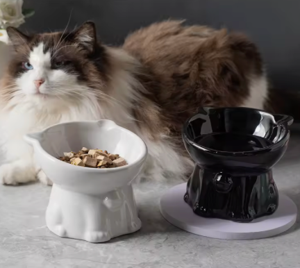Cute Ceramic Elevated Pet Bowl | Raised Cat & Small Dog Food Bowl | Whisker-Friendly Feeding Dish
